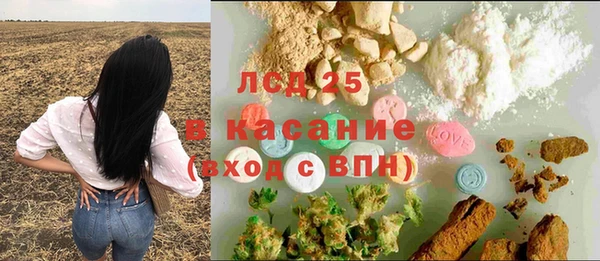 PSILOCYBIN Абаза