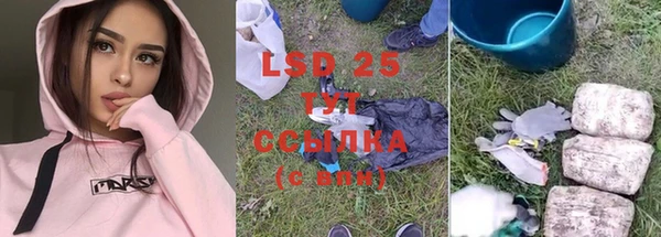PSILOCYBIN Абаза