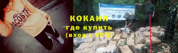 PSILOCYBIN Абаза